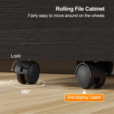 VINGLI 2-Drawer Small Rolling File Cabinet with Lock, Wood Filing Cabinet for Hanging Letter Size Filings with Tabs, Mobile Under Desk File Cabinet for Home Office, Classic Black, 27.2" H VINGLI