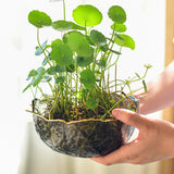 Wehous Bowl Resin Mold Irregular Storage Box Silicone Mold Unique Container Jewelry Holder Candle Vessels Mold for Epoxy Resin Concrete Cement DIY Art Craft Trinket Jar Dish Plant Pot Table Home Decor Wehous