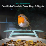 NETVUE Birdfy Lite - Smart Bird Feeder with Camera, Bird Watching Camera, Auto Capture Bird Videos & Motion Detection, Wireless Camera Ideal Gift for NETVUE