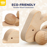 TOY Life Wooden Toys Cars, Animal Wooden Cars, Montessori Toys for Babies 0-6-12 Months, Wooden Baby Toys for 1 Year Old Boy Christmas Birthday Gift, Baby Boy Nursery Decor, Elephant & Rabbit Toy Car TOY Life