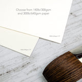 Speedball Art Products, 811716, Fluid 100 100% Cotton Artist Watercolor Paper, 8 x 10 inch pochette, 140 lb Cold Press Speedball