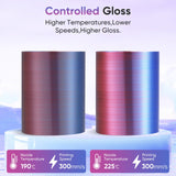 ERYONE HS Silk Quadruple Color PLA Filament 3D Printer 1.75mm +/- 0.03mm, Hyper Speed Coextrusion Filament PLA Shiny 1kg, Aurora Dream (Teal Green & Violet & Electric Pink & Indigo) ERYONE