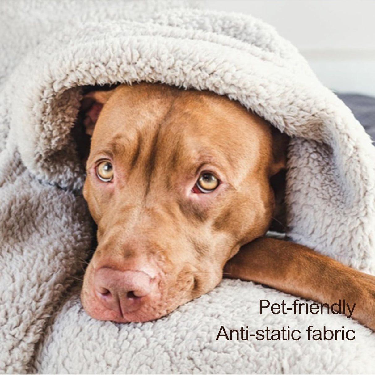 Ultra Soft Cozy Sherpa Throw Blanket with Tassel, Light Weight Warm Decorative 2 Tones Ombre Light Brown Pattern Reversible Boho Style Blanket for Sofa, Couch, Bedroom,Travel, 50”x60” HORIMOTE HOME