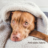 Ultra Soft Cozy Sherpa Throw Blanket with Tassel, Light Weight Warm Decorative 2 Tones Ombre Light Brown Pattern Reversible Boho Style Blanket for Sofa, Couch, Bedroom,Travel, 50”x60” HORIMOTE HOME