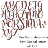 3.5 Inch Tall Custom Word Scroll Script Cursive Font MS Unfinished MDF Wood for Names, Initials, Craft, Kid's Room, Sign, Plaque (3.5") NEXTCraft