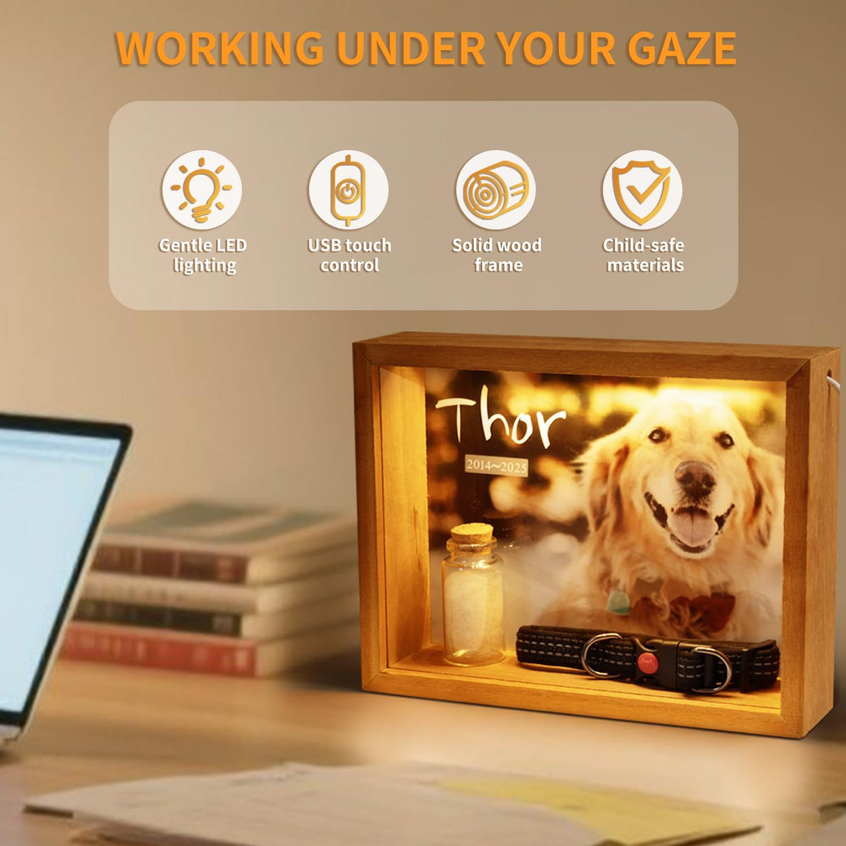 Jettiplex Shadow Box Frame for Dog Memorial - Pet Loss Sympathy Gift, Custom Paw Print Kit, Dog Urn for Ashes, Keepsake Display Case(8-inch) Jettiplex