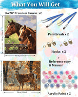 TOCARE 2 Pack Paint by Numbers Kit for Adults Horse, 16x20inch Deer Adult Paint by Number Canvas,Adults' Paint-by-Number Kits for Animals Lovers TOCARE