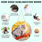 10Pack 10inch Sublimation Door Hanger Blanks, Aluminum Round Unfinished Blank Door Hanger Sign, Metal Wall Hanging Sublimation Ornament Blanks with Rope for Heat Press Machine, DIY Craft, Custom Decor HYHOSHI