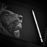 PANDAFLY White Charcoal Pencils Set, Professional 14 Piece Sketch Highlight Charcoal Pencils for Drawing, Sketching, Shading, Blending, White Chalk Pencils for Kid, Beginners & Pro Artists PANDAFLY