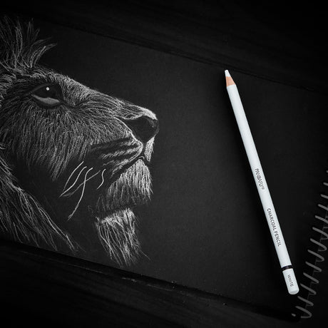 PANDAFLY White Charcoal Pencils Set, Professional 14 Piece Sketch Highlight Charcoal Pencils for Drawing, Sketching, Shading, Blending, White Chalk Pencils for Kid, Beginners & Pro Artists PANDAFLY