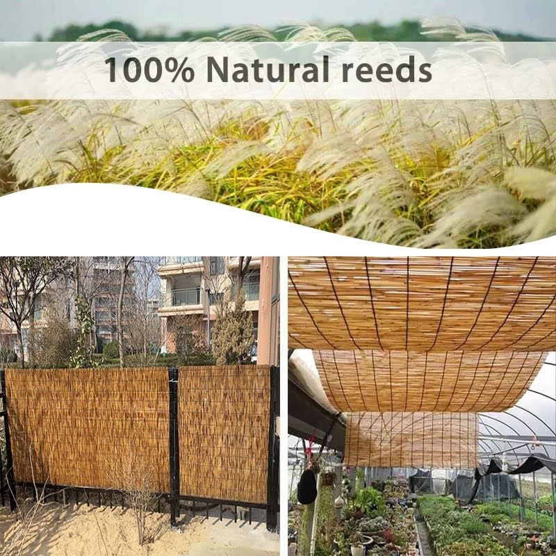Reed Fencing Rolls for Balcony, Brown Bamboo Fence Reed Privacy Screen 1.6' 2' 3' 4' 5' 6' High Outdoor Patio Balcony Backyard Railing (Size : 3'H x16'L) YPINKZ