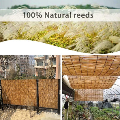 Reed Fencing Rolls for Balcony, Brown Bamboo Fence Reed Privacy Screen 1.6' 2' 3' 4' 5' 6' High Outdoor Patio Balcony Backyard Railing (Size : 3'H x16'L)