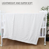 david's kids Minky Baby Blanket for Boys Girls Neutral, Soft Lightweight Micro Fleece Blanket with Double Layer, Dotted Backing, Breathable Receiving Blanket for Newborns, 30x40 Inches, White david's kids