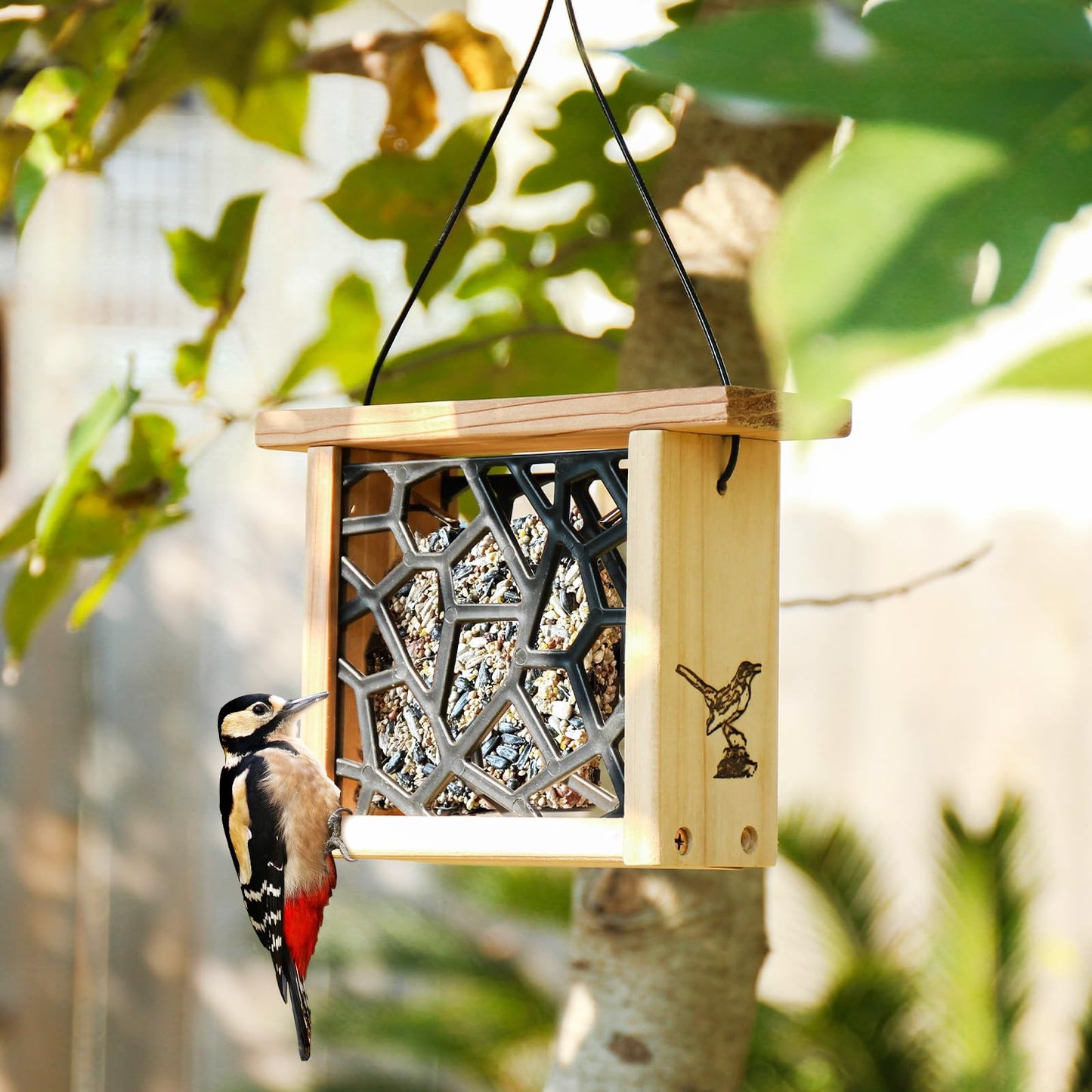 Cedar Open Nesting Box - Cardinal Swallow Bird House Shelter Shelf -Suet Cake Bird Feeder - Birdhouse for Pheobe,Blackbird,Robins,Doves DIY Birdhouse Feeder Kits for Adults.