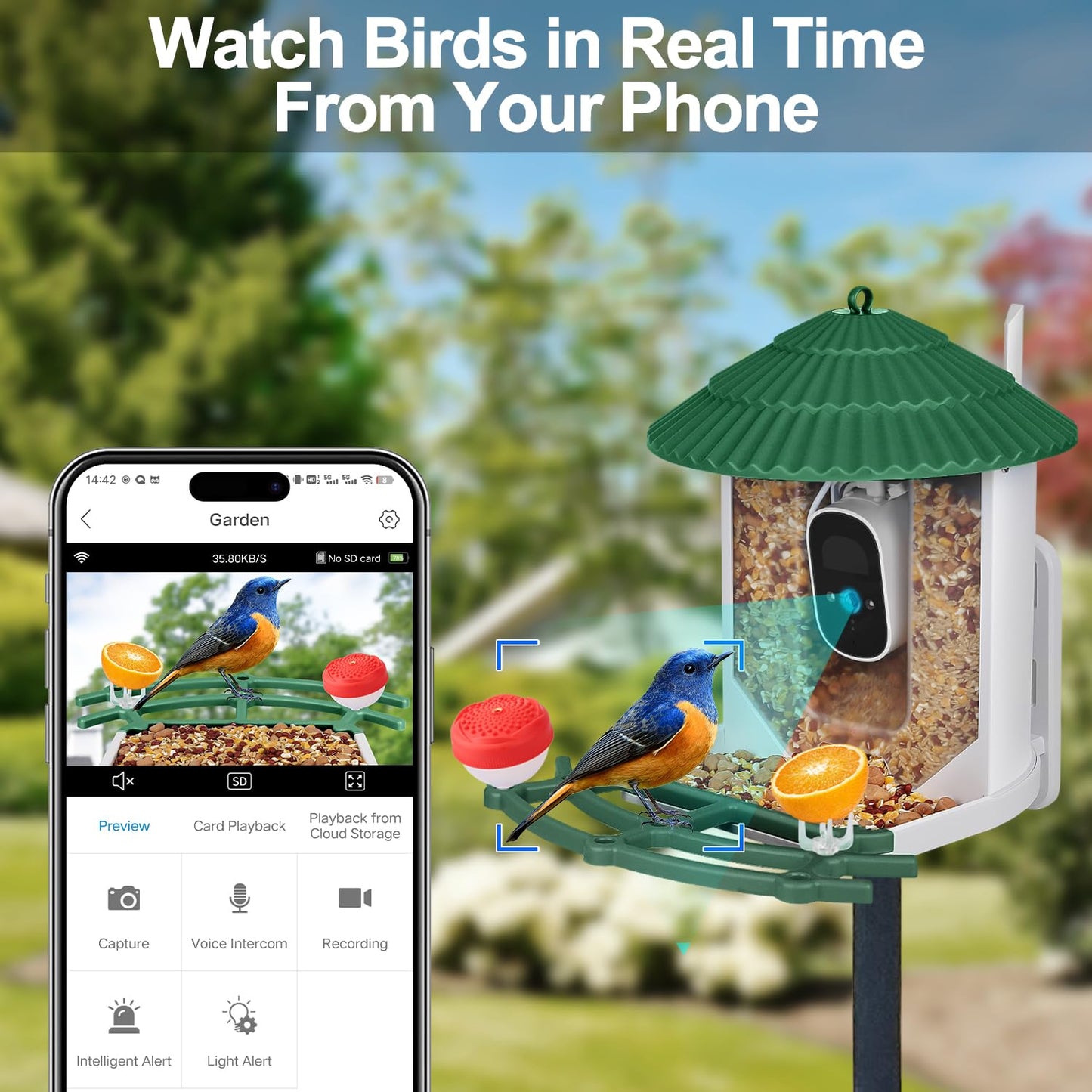 Smart Bird Feeder with Camera, 4MP Bird Feeder Camera Wireless Outdoor, APP Control, Batteries & Solar Powered, Color Night Vision, 10000+ AI Identify Bird Species, Ideal Gift for Bird Lover