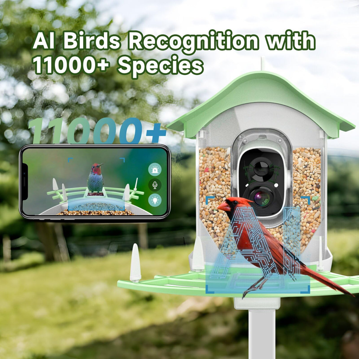 Smart Bird Feeder with Camera,AI Identify Bird Species,Auto Record 2K Birds Video in Backyard Garden,Live View,Solar Powered Charging,Ideal Gifts for Family and Bird Lovers (Green) Aprilmin