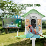Smart Bird Feeder with Camera,AI Identify Bird Species,Auto Record 2K Birds Video in Backyard Garden,Live View,Solar Powered Charging,Ideal Gifts for Family and Bird Lovers (Green) Aprilmin