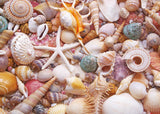 BEDUKE Jigsaw Puzzles for Adults 1000 Pieces Beach Shells 1000 Piece Puzzle Thick Sturdy Precise Interlocking Family Game Age 14+ BEDUKE