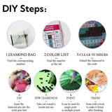 Woman High-Heel Shoes and Wine 5D Diamond Art Painting by Number Kits for Adults DIY Paint with Full Drill Round Diamond Gems Painting Art Craft for Home Wall Decor 13.8x13.8inch(2) WoodArtSupply