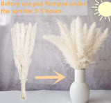 110 PCS Dried Pampas Grass Bouquet, Boho Table Decor, Bunny Tails Dried Flowers, Brown Pompas, White Pampas Grass for Wedding, Home, Rustic Party, Baby Shower Decorations Bannifll