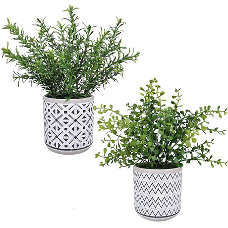 Winlyn 2 Pack Small Potted Eucalyptus Plant Artificial Plants Green Boxwood Rosemary Greenery in Modern Concrete Plant Pots Winlyn