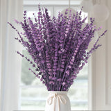 Dried Purple Lavender Flowers Bundle-Dried Preserved Lavender Bouquet 15-17" for Shower Weeding Home Vase Decor, Crafts, Aromatherapy, Fragrance, Fresh Silk Dry Live Plants, 50g(1.76oz) Glicrili