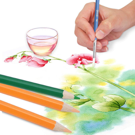 ARZASGO Watercolor Pencils Set, 48 Assorted Colors Artist Colored Pencils for Adults, Premium Art Drawing Pencils with Canvas Travel Wrap ARZASGO