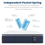 Coolvie 14 Inch King Mattress, Medium Plush Gel Memory Foam Mattress Hybrid, Double Cooling King Size in a Box Euro Top with CertiPUR-US Certified Foam, Supportive Pocket Coil for Motion Isolation Coolvie