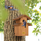 Cedar Comfy Mansion Bluebird House for Outside,2 Layers Metal Roof Water Proof, Outdoor Lifetime Durability Solid Cedar Wood Bird House for Pole, Secure Latch, Updated 1.5" Hole Size CEDAR ALPHA