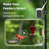 NETVUE by Birdfy Smart Bird Feeder Camera, Adjustable Brackets, Auto Bird Video Capture, Instant Notifications, AI Identify 6000+ Species NETVUE