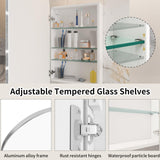 FUNFOLLOW Silver Medicine Cabinet with Mirror,Bathroom Arched Medicine Cabinet Wall Mounted, Modern Vanity Mirror with Storage,Bathroom Storage Cabinet with Adjustable Shelves,Not Recessed,24x36 Inch FUNFOLLOW