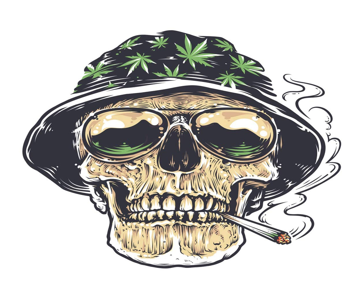 5D Diamond Painting,Diamond Painting Kits for Adults Rastaman Skull in Hat Cannabis Leafs Sunglasses Holds Smoking Joint His Mouth Suitable as Gifts Gem Art Drill Dot, Home Games,Home Wall,12"x16" Puzzle art
