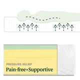 ZINUS 10 Inch Green Tea Essential Memory Foam Mattress, Twin, Mattress in A Box, Affordable Mattress, CertiPUR-US Certified Zinus