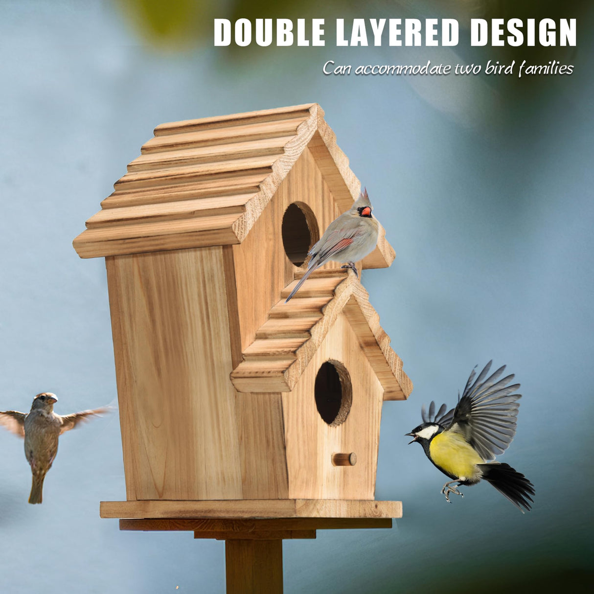 NATUREYLWL Bird Houses for Outside-2 Hole Wooden Outdoor Bird House,Wild Bird Box House,Nesting Box Birdhouse,Garden Bird Roosting NATUREYLWL