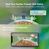 Fazoxo Bird Feeder with Camera, Smart AI Bird Breed Recognition, Birds Motion Detection with Real-Time Notice, Auto Capture Bird Watching WiFi Fazoxo