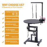 24" Electric Dog Grooming Table with Wired Remote Control, Professional Heavy Duty Pet Grooming Table for Dogs at Home, Adjustable Overhead Arm & Tool Organizer, Small Pet Grooming Station URBANVISTA