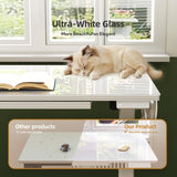 INNOVAR Glass Standing Desk with Drawers, 40 x 24 Inches Electric Height Adjustable Desk, Tempered Glass Top Stand Up Desks for Home and Office, White INNOVAR