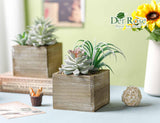 Der Rose Set of 2 Succulents Plants Artificial Fake Plants in Wood Pots with Pink Fake Flowers for Farmhouse Bathroom Desk Sheif Decor Der Rose