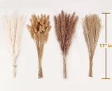 Dried Pampas Grass Decor, 100 Stems Pampas Grass Contains Bunny Tails Dried Flowers, Reed Grass Bouquet for Wedding Boho Flowers Home Table Decor, Rustic Farmhouse Party (17", White and Brown) ANPROOR