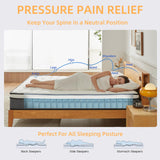 Review Full Mattress, 10 Inch Full Size Mattress in a Box,Memory Foam Hybrid Mattress,with Individual Pocket Spring for Motion Isolation & Silent Sleep, Pressure Relief,Plush Firmness. review ㅤ