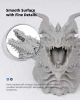 Inslogic 3D Printer Resin, Standard Pro Resin 405nm UV-Curing 3D Resin for LCD/DLP/SLA 3D Printing, High Precision & Low Shrinkage & Fast Curing (Dark Gray, 1kg) Inslogic