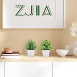 ZJIA 2 Pack Fake Plants Small Artificial Greenery Faux Plants Indoor for Home Farmhouse Bathroom Shelf Decor ZJIA