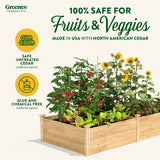 Greenes Fence Original Cedar Raised Garden Bed, 4' x 8' x 17.5" - Made in USA with North American Cedar Greenes Fence