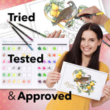 Castle Arts Christmas Colouring Book | Compendium of Cards, Calendar and Scenes Curated to Lift the Spirit | with Colour Reference Guide | No Show-Thru Artist Grade Paper | Frameable Landscape A4 Size Castle Art Supplies