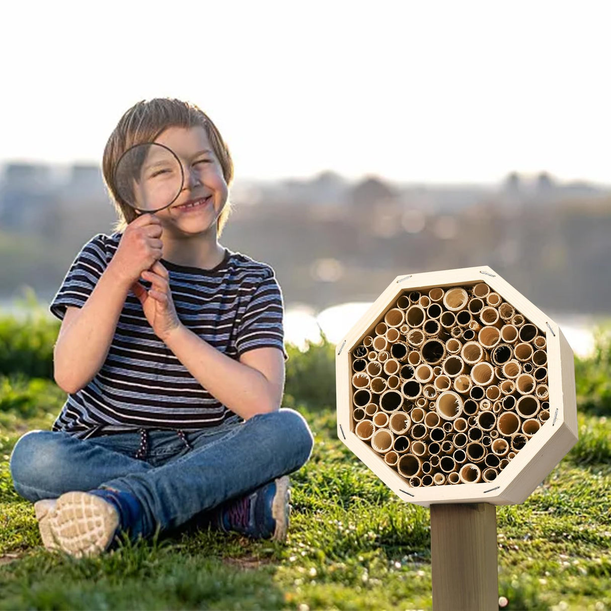 Mason Bee House,Hanging Bee Houses for The Garden, Pollinating Bee House Attracts Peaceful Bee,Insect Observation,Beekeeping Supplies Pumwoy