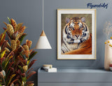 Figured'Art Paint by Numbers Kit for Adults Tiger Look 16"x20" - Craft Art Painting Rolled Canvas with DIY Wooden Frame Figured'Art