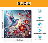 VIGEGU 2 Pack Hummingbird Paint by Numbers Kit for Adults with Framed, Flower Paint by Number DIY Adult Paint by Number Kits for Wall Decor 10x10in VIGEGU