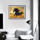 Horse Running in the Wheat Field Paint by Numbers Kit for Adults Beginner, Black Horses in Sunset Scenery Paint by Numbers, Horse with Flying Mane Oil Painting for Home Decor(16×20inch, Unframe) ARNLRDYA