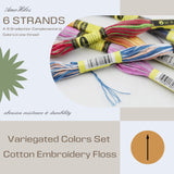 AMOHilos 30 Skeins Variegated Mercerized Egyptian Cotton Rainbow Color for Embroidery Floss Cross Stitch Threads Friendship Bracelets Floss Craft Floss (30 Colors Set) AMOHilos