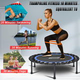 Newan 40'' Silent Fitness Mini Trampoline - Indoor Rebounder for Adults - Best Urban Cardio Jump Fitness Workout Trainer, Covered Bungee Rope System - Max Limit 330 lbs NEWAN